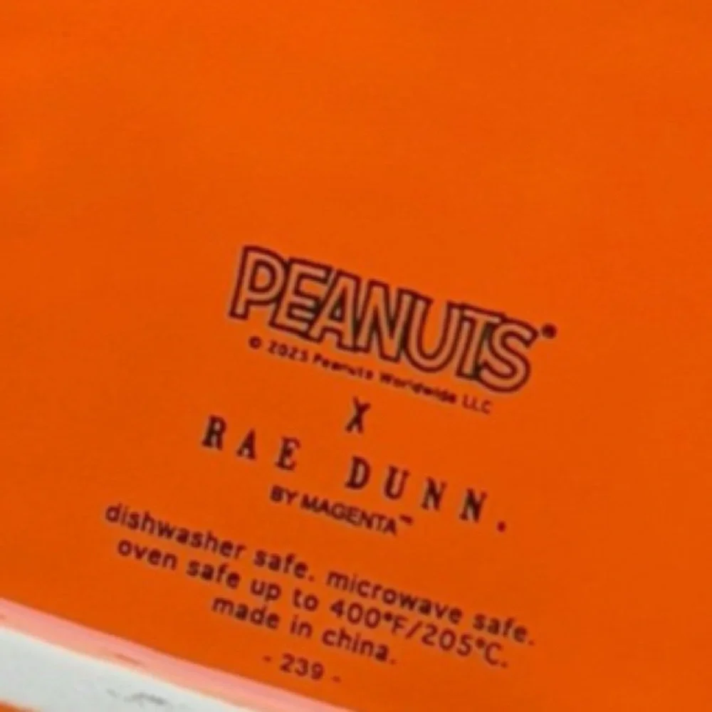Rae Dunn brand new